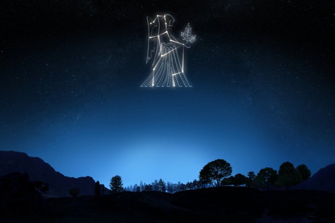 мужчина дева