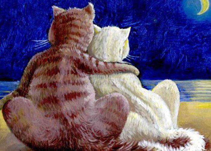 Поддержка в трудную минуту