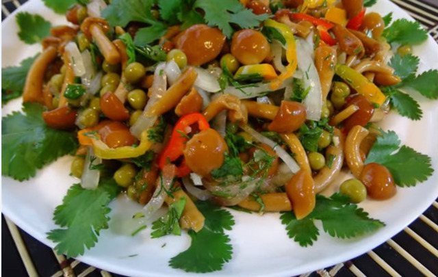 Салат с опятами свежими