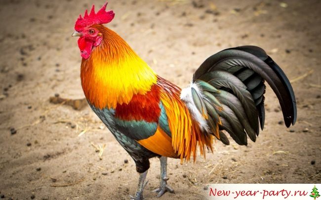 Символ года 2020 - Огненный Петух