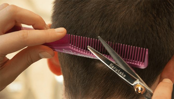 Стрижка волос - к чему отрезают волосы во сне?