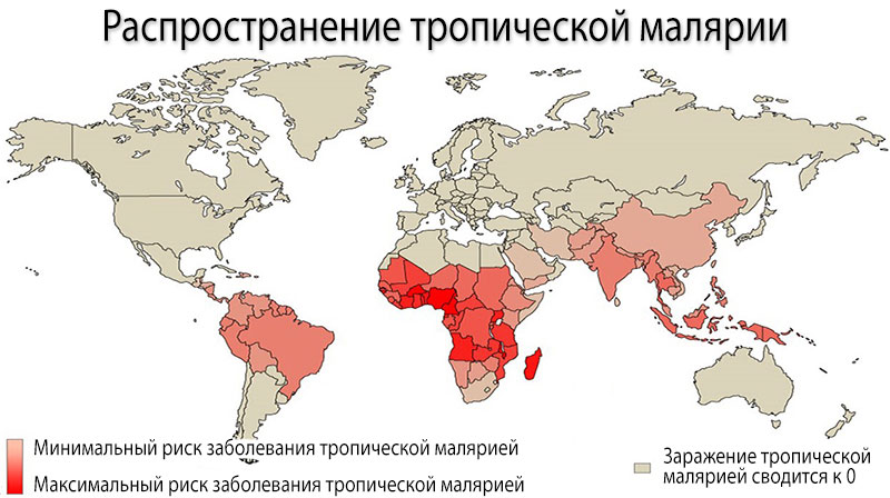Тропическая малярия - карта распространения болезни Ареал обитания малярийных комаров